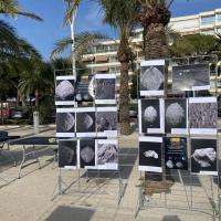 D40217b8 44a0 4c14 be46 1ad3f669b664