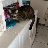 E570df8a b863 4909 8187 ae8743f36210