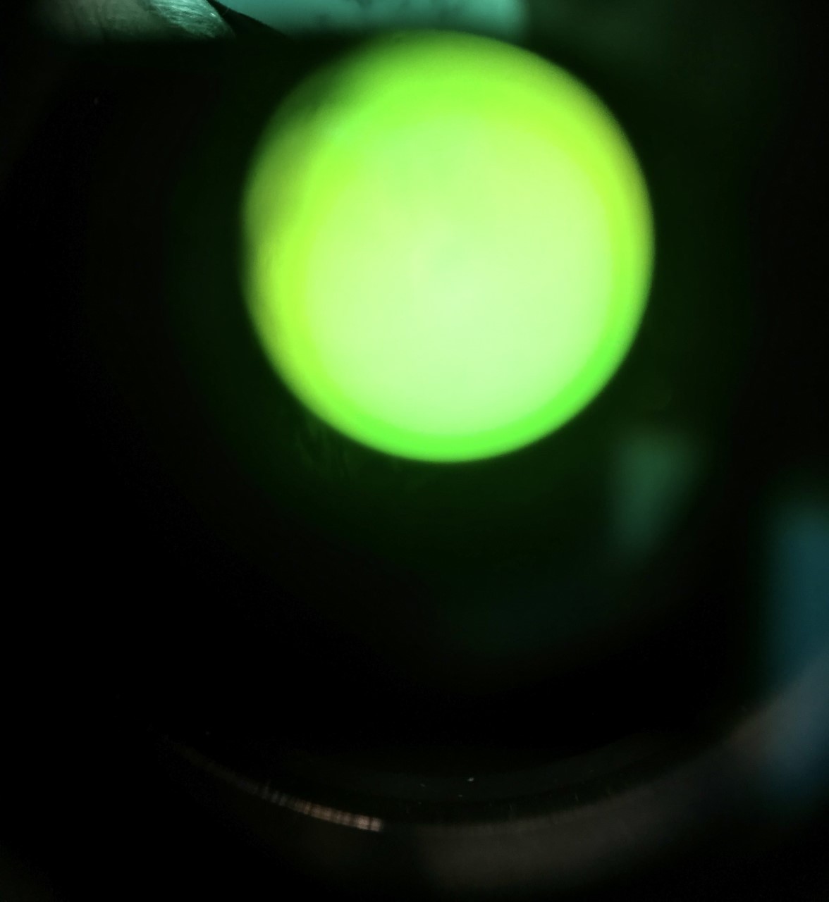 Thumbnail img 5873